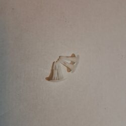 PC Board Fixing Click 9,5